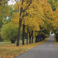 Open Road, Uppsala Sweden